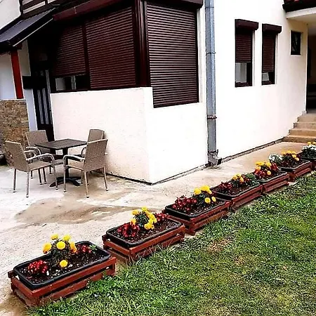 Ambijent Ζλάτιμπορ